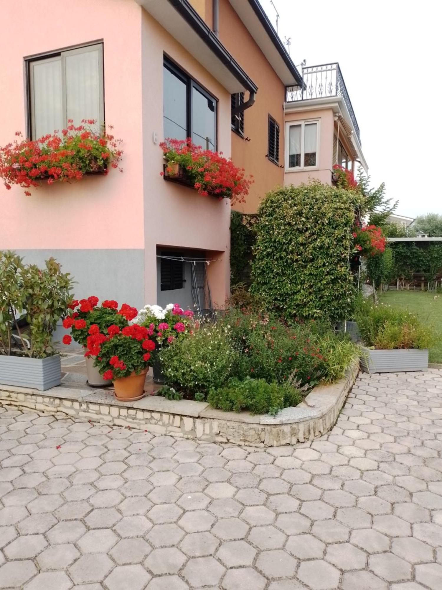 Apartman Olga Umago Exterior foto