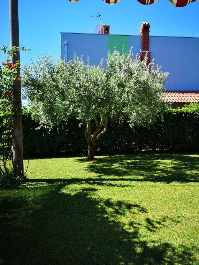 Apartman Olga Umago Exterior foto